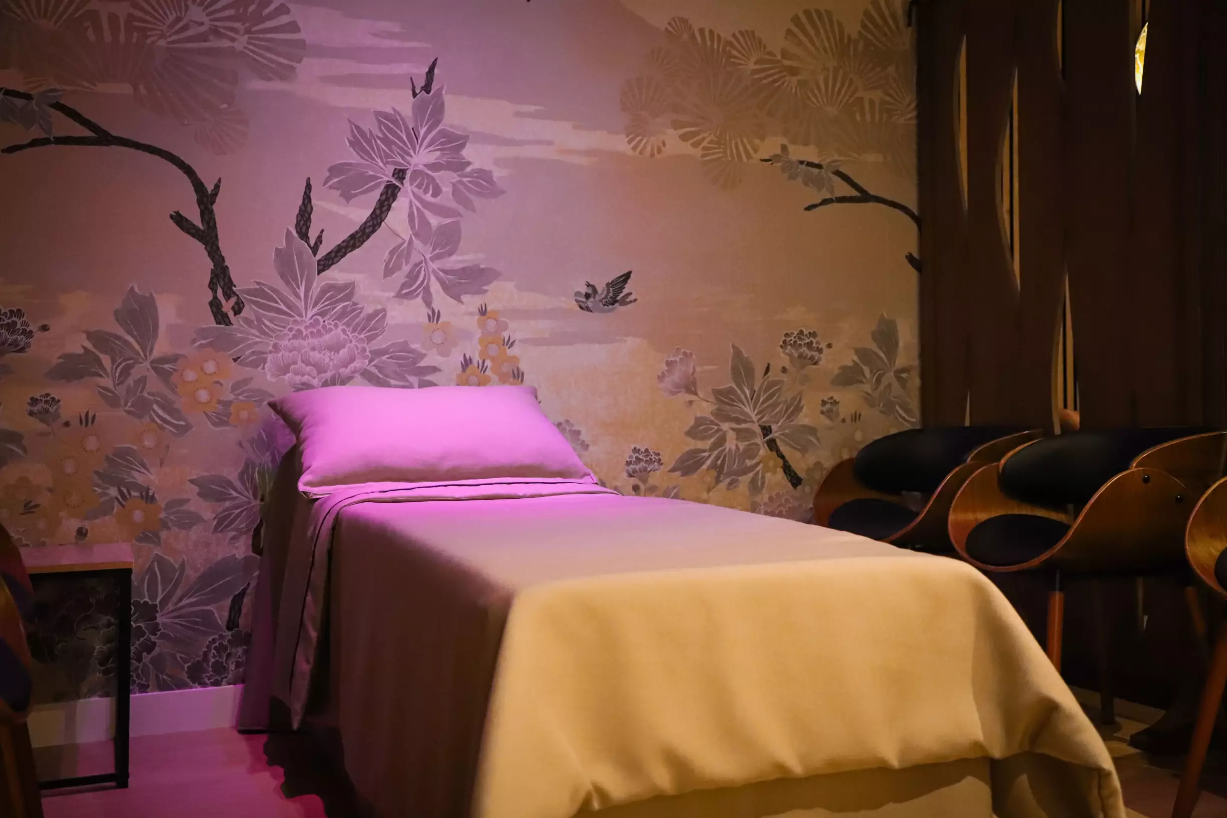 Salons à Plessé